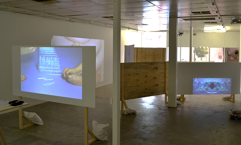 Liss LaFleur-TIPS_Katie West-Decolonist_HINTK install_Sister Gallery_May 2017