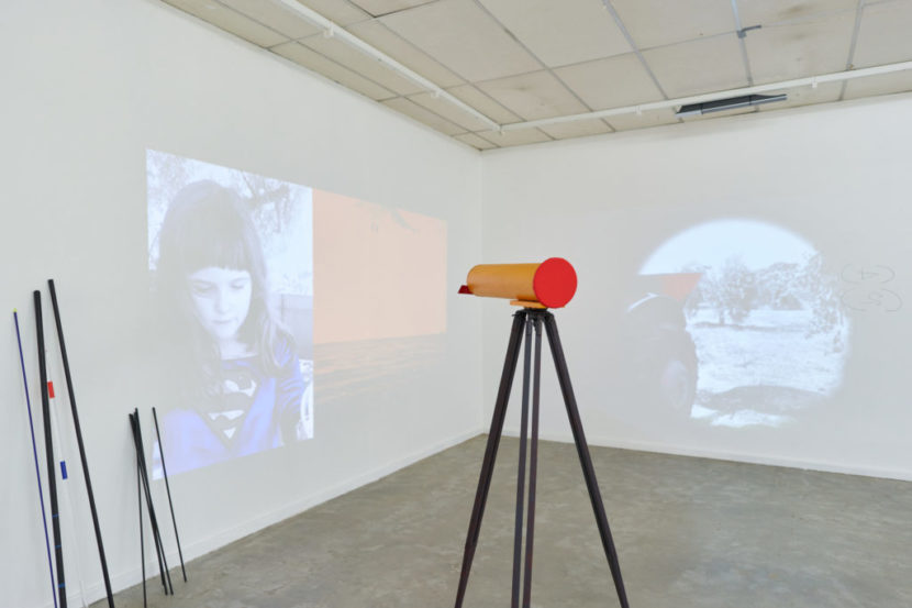 Sophie Corso_Personal Indifference of a Spotted Line_Works_42 copy
